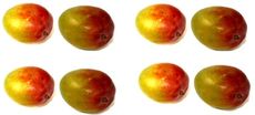 Mango-4x2.jpg